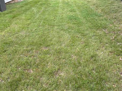 Lawn Care service in Owings Mills, 21117