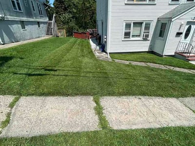 Lawn Care service in Worcester, 01608