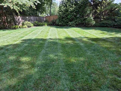 Lawn Care service in Montgomery Village, 20886