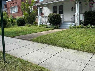 Lawn Care service in Washington, 07882