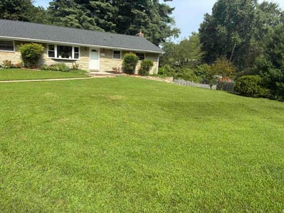 Lawn Care service in Ellicott City, 21043