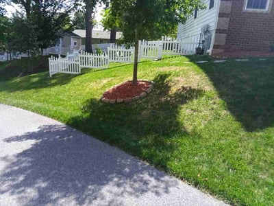 Lawn Care service in Ellicott City, 21043