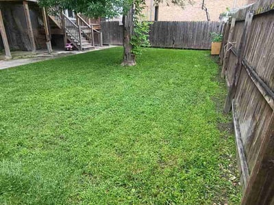 Lawn Care service in Woodridge, 60517