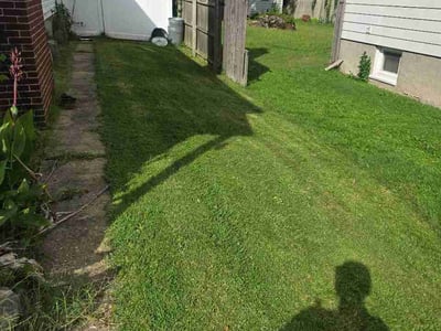 Lawn Care service in Parkville, 21234