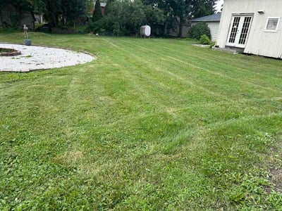 Lawn Care service in Oak Creek, 53154