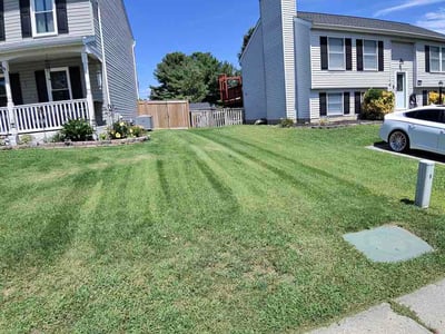 Lawn Care service in Edgewood, 21040