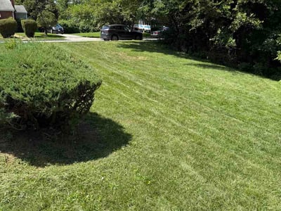 Lawn Care service in Edgewood, 21040