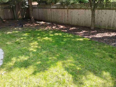 Lawn Care service in Hartford, 53027