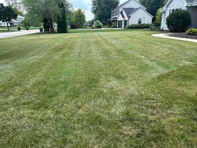 Lawn Care service in Franklin, 53132