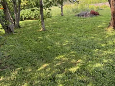 Lawn Care service in Franklin, 53132