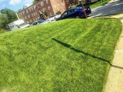 Lawn Care service in Havre De Grace, 21078