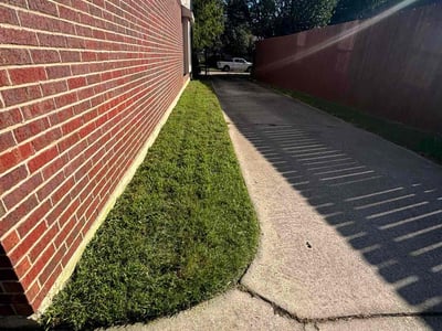 Lawn Care service in Mansfield, 02048