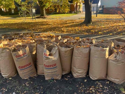 Lawn Care service in Grosse Pointe, 48230