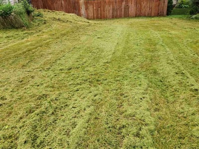 Lawn Care service in Oregon, 53575