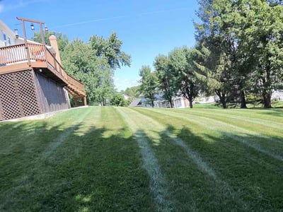 Lawn Care service in Bel Air, 21014