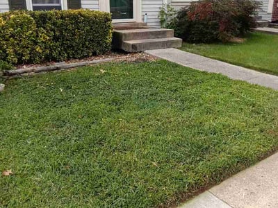 Lawn Care service in Springfield, 22150