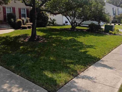 Lawn Care service in Springfield, 22150