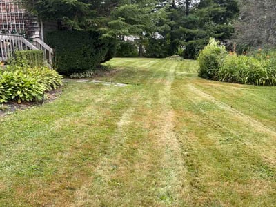 Lawn Care service in Portland, 04101