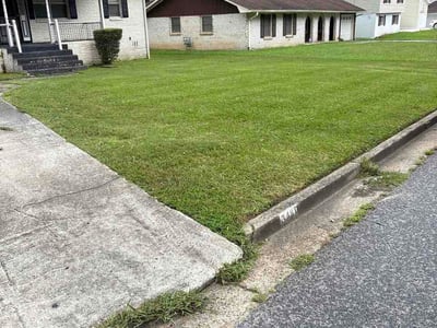 Lawn Care service in North Andover, 01845