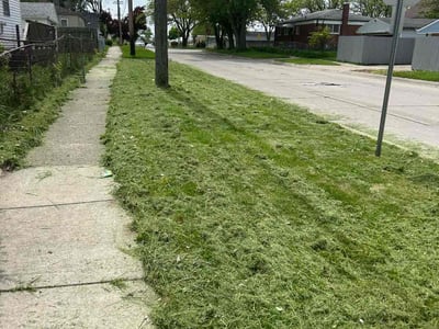 Lawn Care service in Portland, 04101