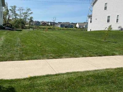 Lawn Care service in Grafton, 53024