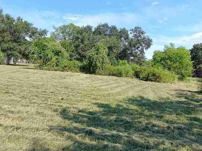 Lawn Care service in Stafford, 77477