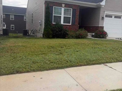 Lawn Care service in Fredericksburg, 22401