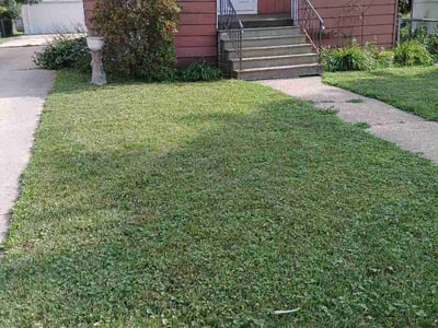 Lawn Care service in Kenosha, 53140