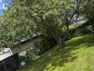 Lawn Care service in Kenosha, 53140
