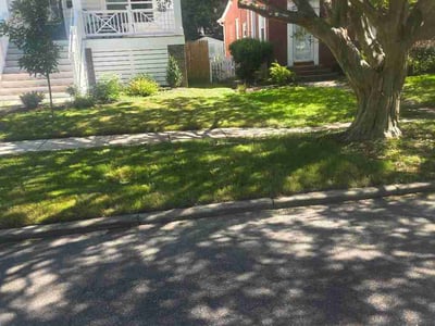 Lawn Care service in Bristow, 20136