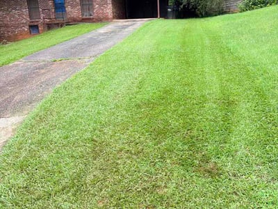 Lawn Care service in Austell, 30168