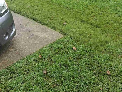 Lawn Care service in Austell, 30168