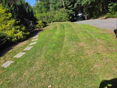 Lawn Care service in Randolph, 02368