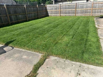 Lawn Care service in Greenfield, 53220