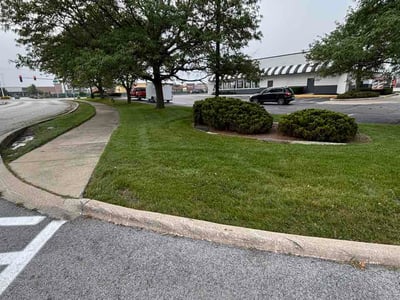 Lawn Care service in Tinley Park, 60477