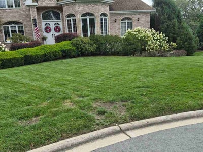 Lawn Care service in Orland Park, 60462