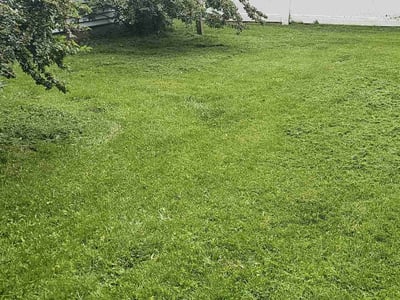 Lawn Care service in Waukesha, 53186