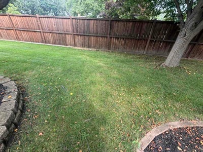 Lawn Care service in Orland Park, 60462
