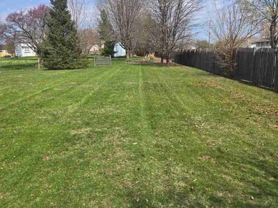 Lawn Care service in Tinley Park, 60477