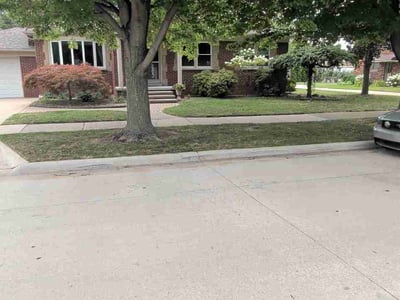 Lawn Care service in Allen Park, 48101