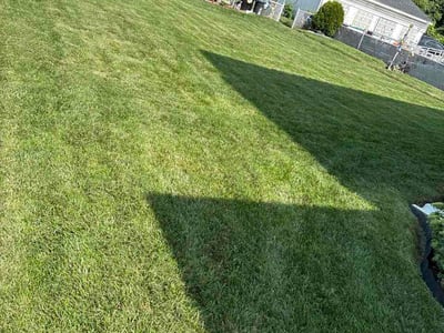 Lawn Care service in Dundalk, 21222