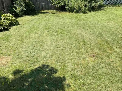 Lawn Care service in Milford, 01757