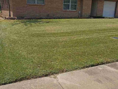 Lawn Care service in Dickinson, 77539