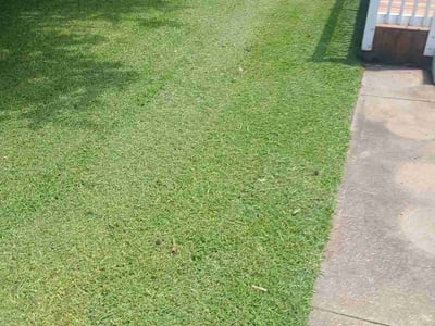 Lawn Care service in Suffolk, 23434