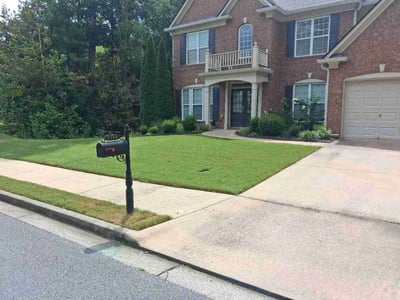 Lawn Care service in Cambridge, 02138