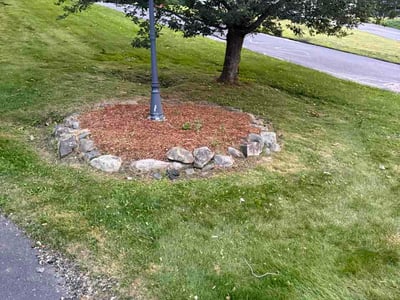 Lawn Care service in Shrewsbury, 01545