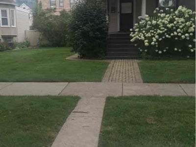 Lawn Care service in Oak Park, 60302