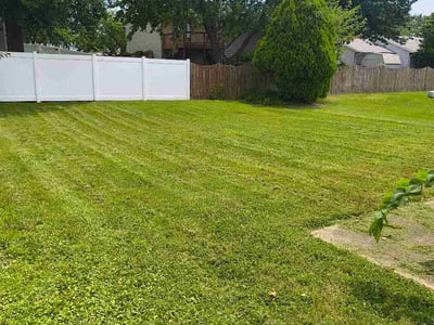 Lawn Care service in Highland, 62249
