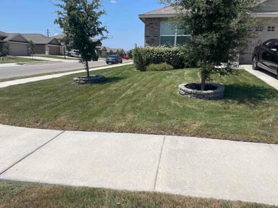 Lawn Care service in Cibolo, 78108