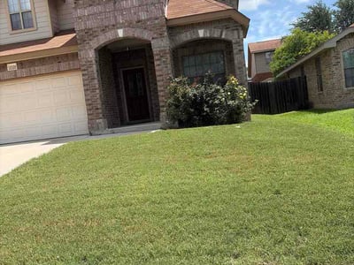 Lawn Care service in Cibolo, 78108